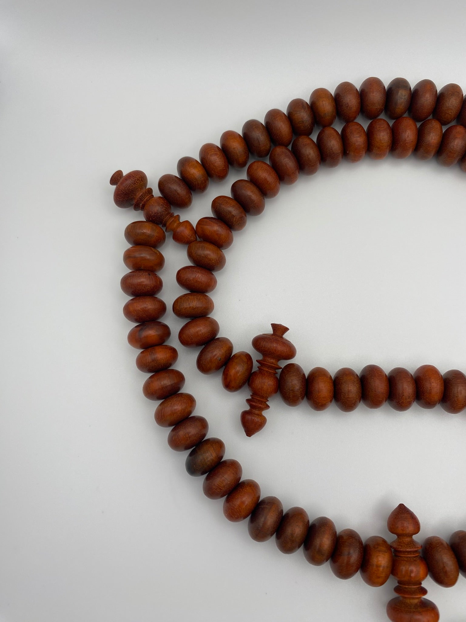 Indian Rose Chestnut Misbabha