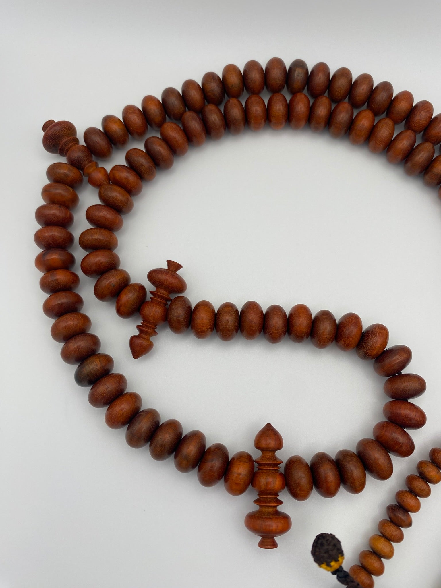 Indian Rose Chestnut Misbabha